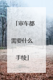 审车都需要什么手续