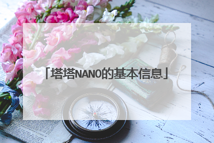 塔塔NANO的基本信息