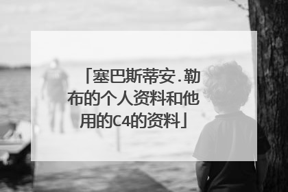 塞巴斯蒂安.勒布的个人资料和他用的C4的资料