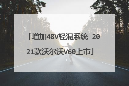 增加48V轻混系统 2021款沃尔沃V60上市