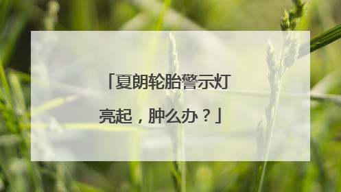 夏朗轮胎警示灯亮起，肿么办？