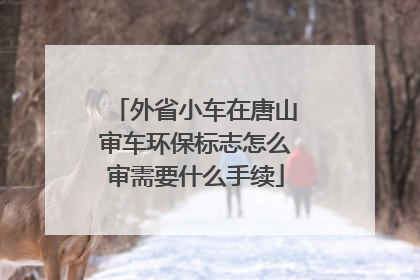 外省小车在唐山审车环保标志怎么审需要什么手续