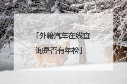 外籍汽车在线查询是否有年检