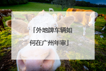 外地牌车辆如何在广州年审