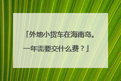 外地小货车在海南岛。一年需要交什么费？