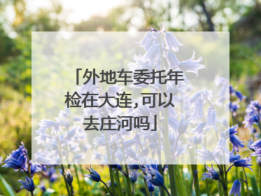 外地车委托年检在大连,可以去庄河吗