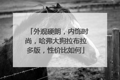 外观硬朗，内饰时尚，哈弗大狗拉布拉多版，性价比如何