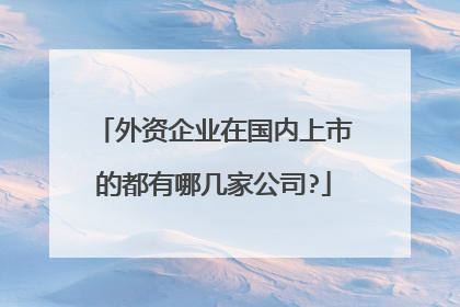 外资企业在国内上市的都有哪几家公司?