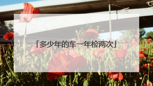 多少年的车一年检两次