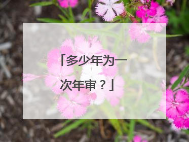 多少年为一次年审？