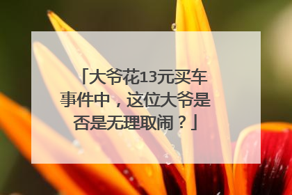 大爷花13元买车事件中，这位大爷是否是无理取闹？