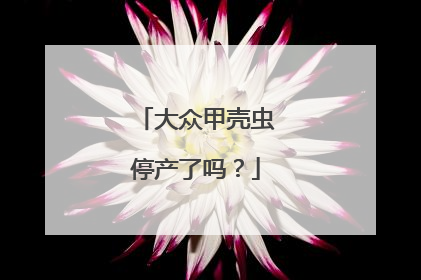 大众甲壳虫停产了吗？