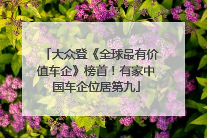 大众登《全球最有价值车企》榜首！有家中国车企位居第九