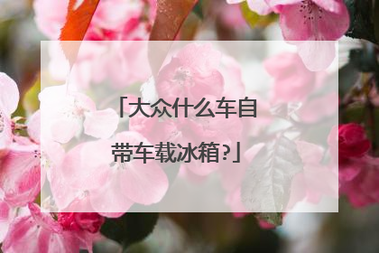大众什么车自带车载冰箱?