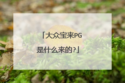 大众宝来PG是什么来的?