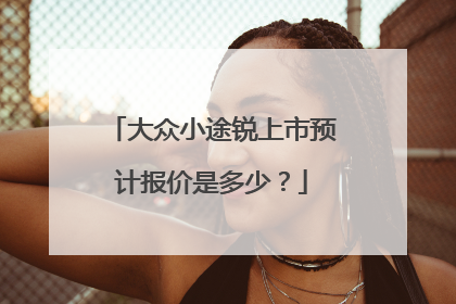 大众小途锐上市预计报价是多少？