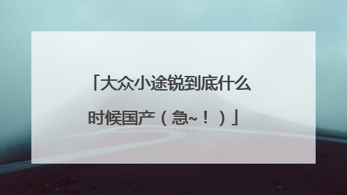 大众小途锐到底什么时候国产（急~！）