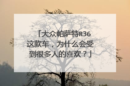 大众帕萨特R36这款车，为什么会受到很多人的喜欢？