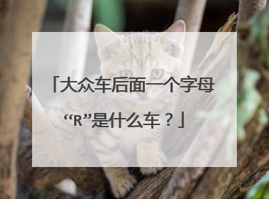 大众车后面一个字母“R”是什么车？