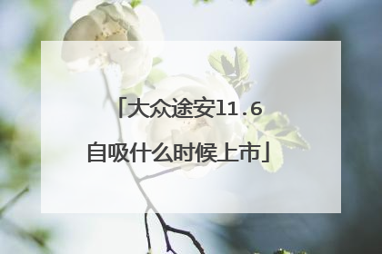 大众途安l1.6自吸什么时候上市