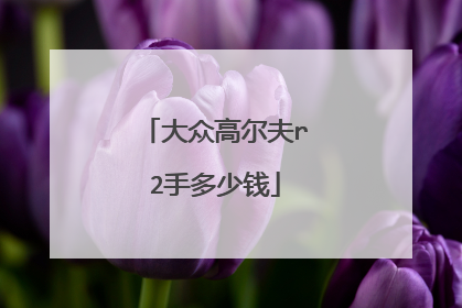 大众高尔夫r2手多少钱