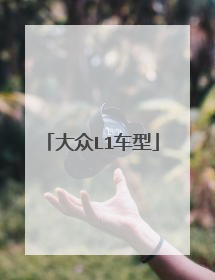 大众L1车型