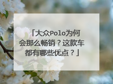 大众Polo为何会那么畅销？这款车都有哪些优点？