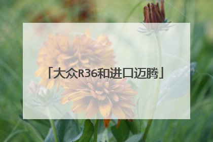 大众R36和进口迈腾