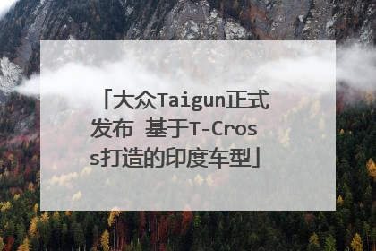 大众Taigun正式发布 基于T-Cross打造的印度车型