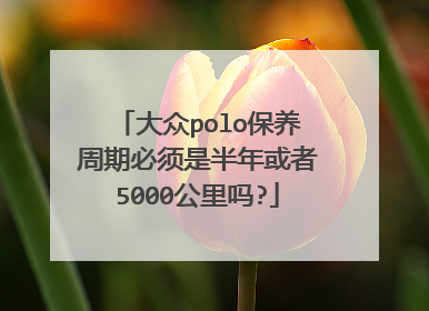 大众polo保养周期必须是半年或者5000公里吗?