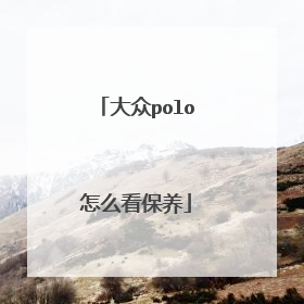 大众polo怎么看保养