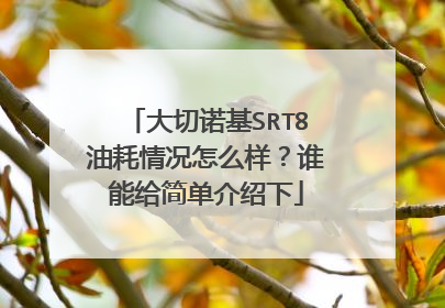 大切诺基SRT8油耗情况怎么样？谁能给简单介绍下