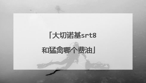 大切诺基srt8和猛禽哪个费油