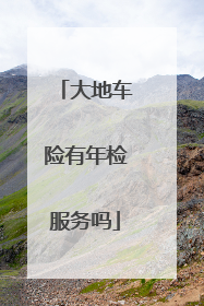 大地车险有年检服务吗