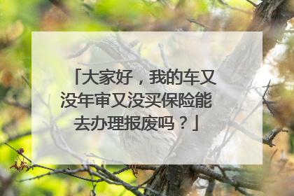 大家好，我的车又没年审又没买保险能去办理报废吗？