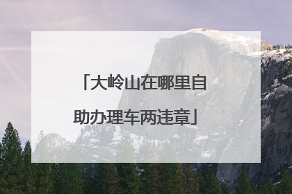大岭山在哪里自助办理车两违章