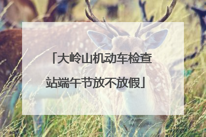 大岭山机动车检查站端午节放不放假