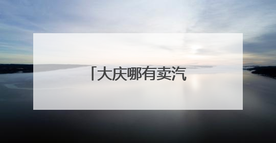 大庆哪有卖汽车模型的？