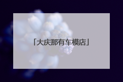 大庆那有车模店