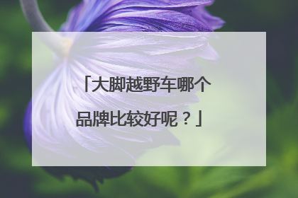 大脚越野车哪个品牌比较好呢？