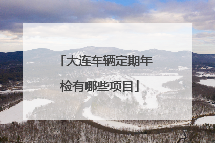 大连车辆定期年检有哪些项目