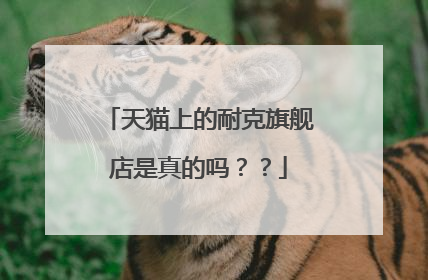 天猫上的耐克旗舰店是真的吗？？