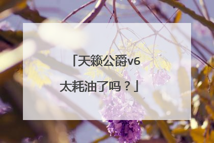 天籁公爵v6太耗油了吗？