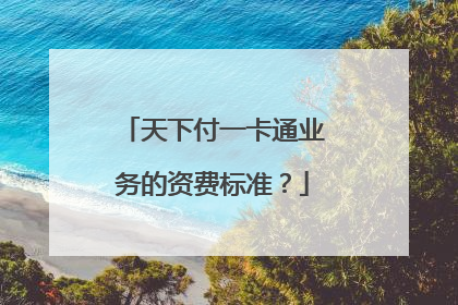 天下付一卡通业务的资费标准？