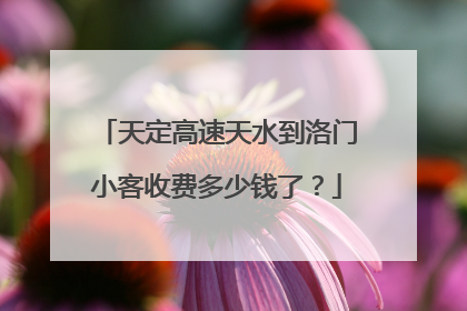 天定高速天水到洛门小客收费多少钱了？