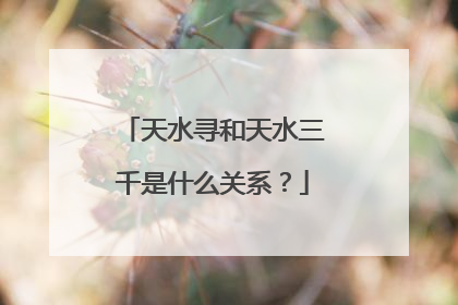 天水寻和天水三千是什么关系？