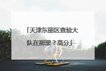 天津东丽区查验大队在那里？高分