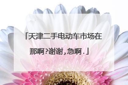 天津二手电动车市场在那啊?谢谢,急啊.