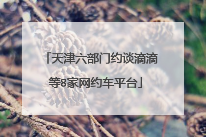 天津六部门约谈滴滴等8家网约车平台