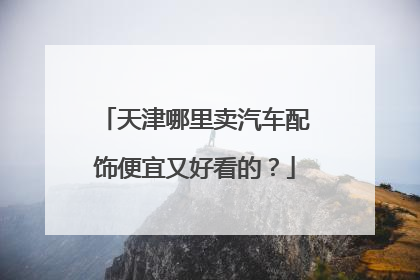 天津哪里卖汽车配饰便宜又好看的？